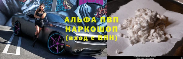 PSILOCYBIN Гусиноозёрск