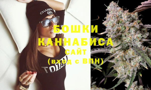 PSILOCYBIN Гусиноозёрск