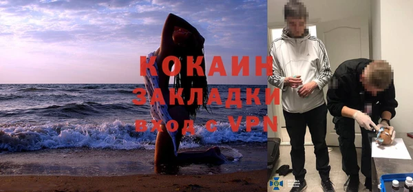 хмурый Гусев