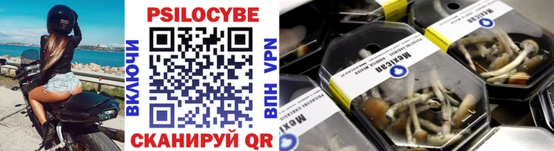 Купить  Кондопога  Псилоцибиновые грибы GOLDEN TEACHER 