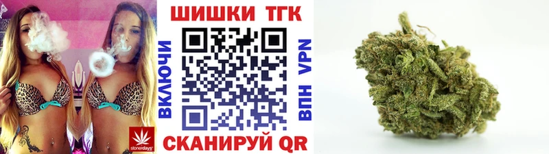 Купить закладки  Кондопога  Бошки марихуана сатива 